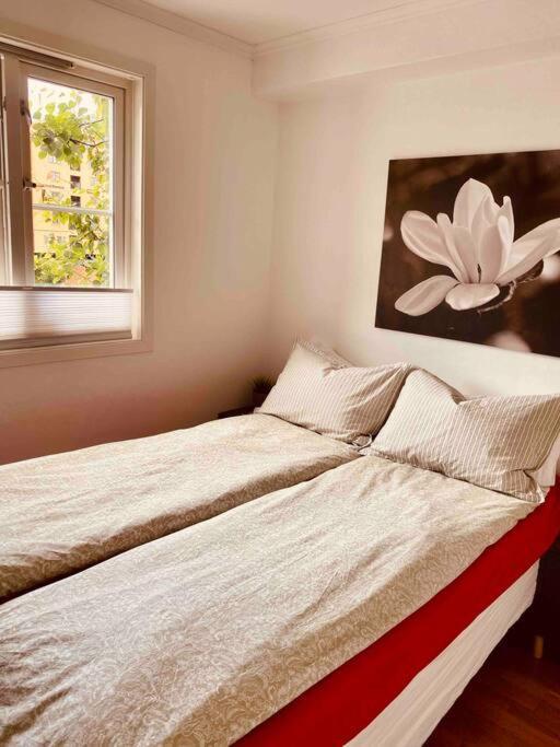 Apartament Bakklandets Perle 3-Roms Trondheim Zewnętrze zdjęcie